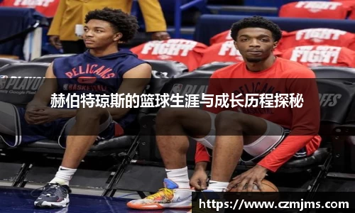 3377体育手机网页版登录